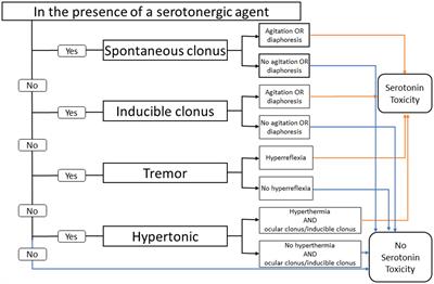 Serotonin syndrome in the acute treatment landscape of migraine: the lasmiditan experience